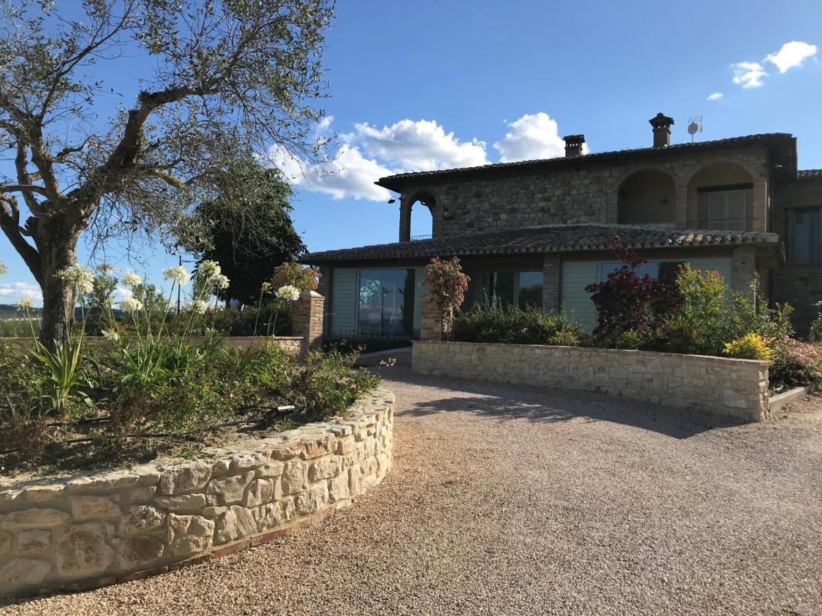 Agriturismo Fattoria Di Monticello San Venanzo Extérieur photo
