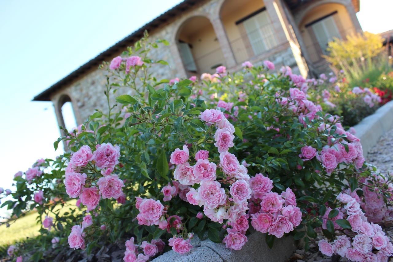 Agriturismo Fattoria Di Monticello San Venanzo Extérieur photo